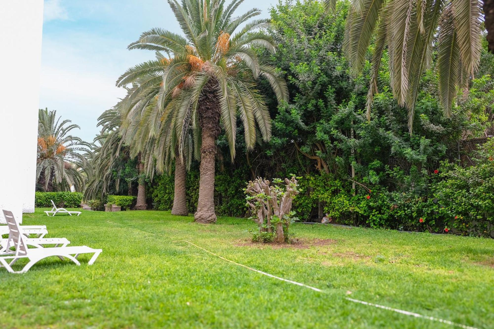 Hamilton Agadir Hotell Exteriör bild